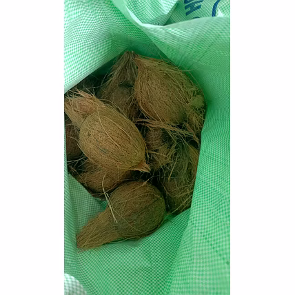 Semi Husked Coconut-2