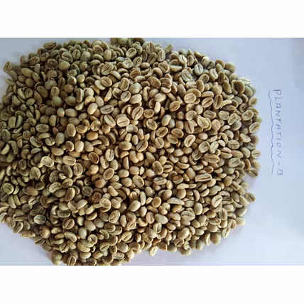 Coffee Beans-1