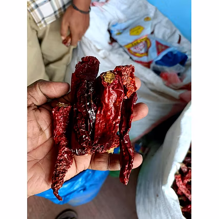 Byadagi Dry Red Chilly &amp; Powder-1