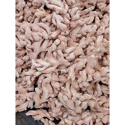 Fresh Ginger-1