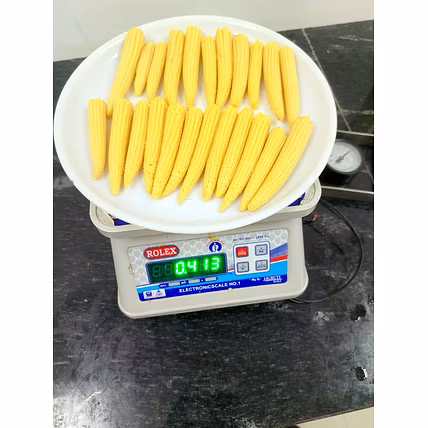 CANNED BABY CORN-2