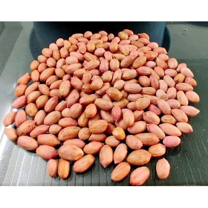 Java Pea Nut-4