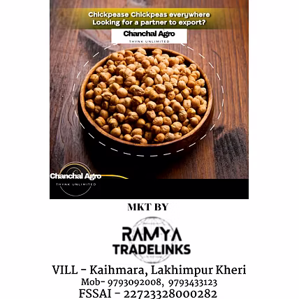 Chick Peas-12281756