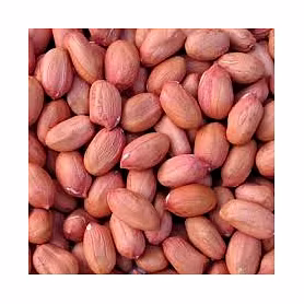 Java Pea Nut