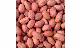 Java Pea Nut