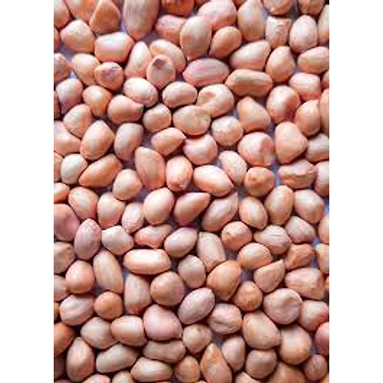 Java Pea Nut-3