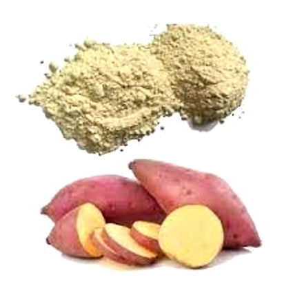 Dehydrated Sweet Potato Powder-1