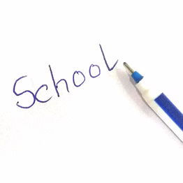 ss pen | ss natural | ss pin long 0.7 | ss bold point