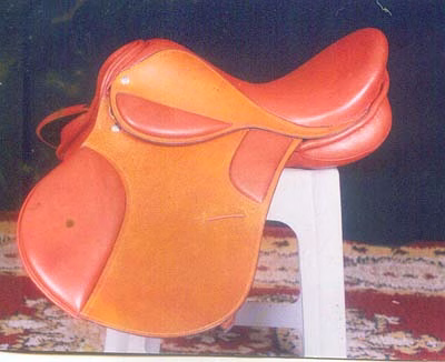 SIX PAD SADDLE image 1