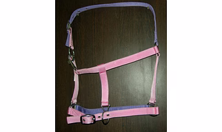 PP HLTER