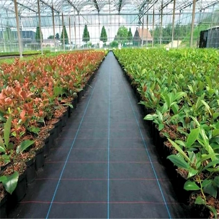 Weed Mat-2