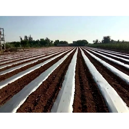 100% Virgin Silver Black Mulching Paper-2