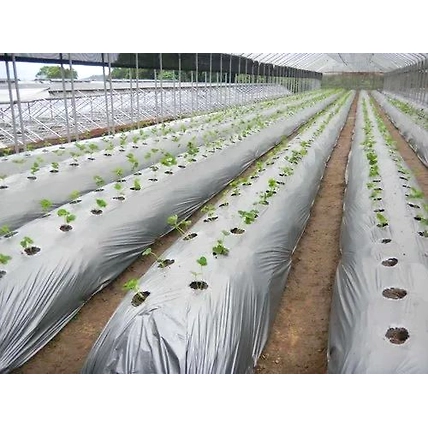 100% Virgin Silver Black Mulching Paper-4
