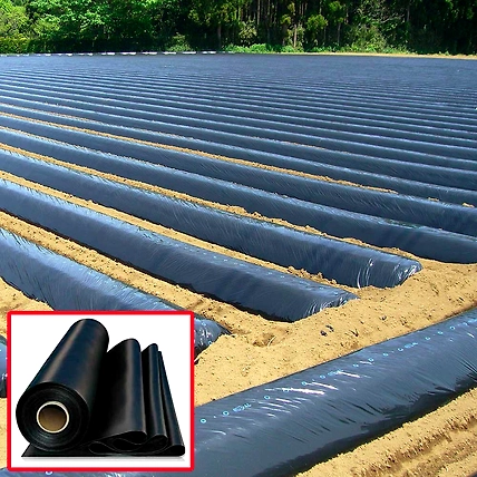 100% Virgin Silver Black Mulching Paper-3