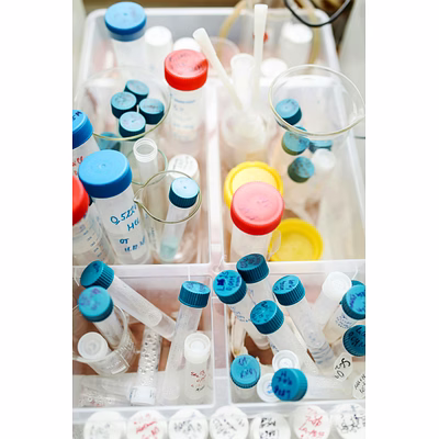 specialty chemicals