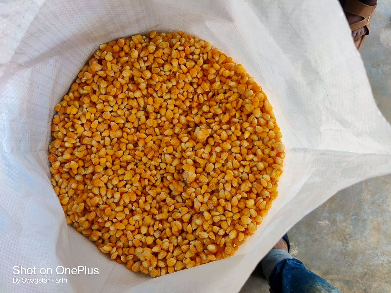 Frozen Sweet Corn Kernel /Cob image 3