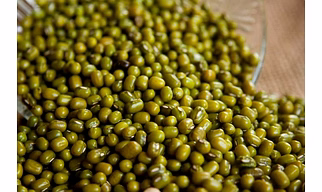 Premium Whole Moong Beans (Green Gram) – Natural, Unpolished, High Protein, Cleaned & Sortex Pulses for Wholesale & Export
