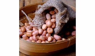 Premium Groundnut (Peanut) – Bold Size, High Oil Content, Natural & Sortex Cleaned Oil Seeds for Wholesale & Export