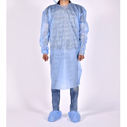 shrisay attendant gown