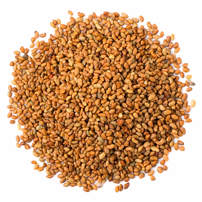 alfalfa seeds