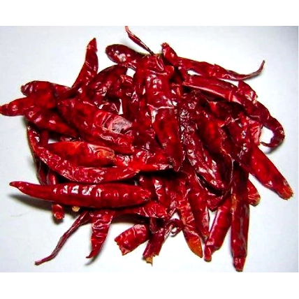 Indian Dry Red Chilli (Of Genus Capsicum)-12522414