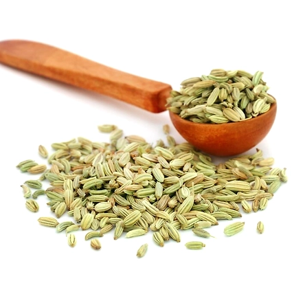 Fennel-12523338