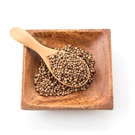 Coriander