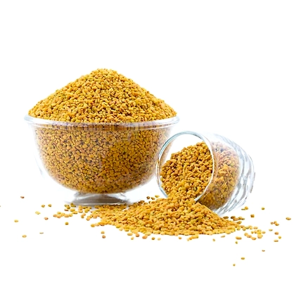 Fenugreek-12523378