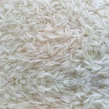 sona masuri rice-12598742