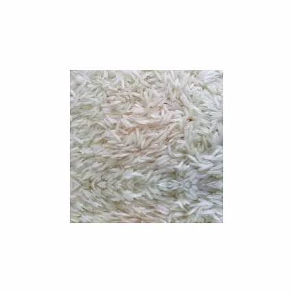 sona masuri rice-12598742