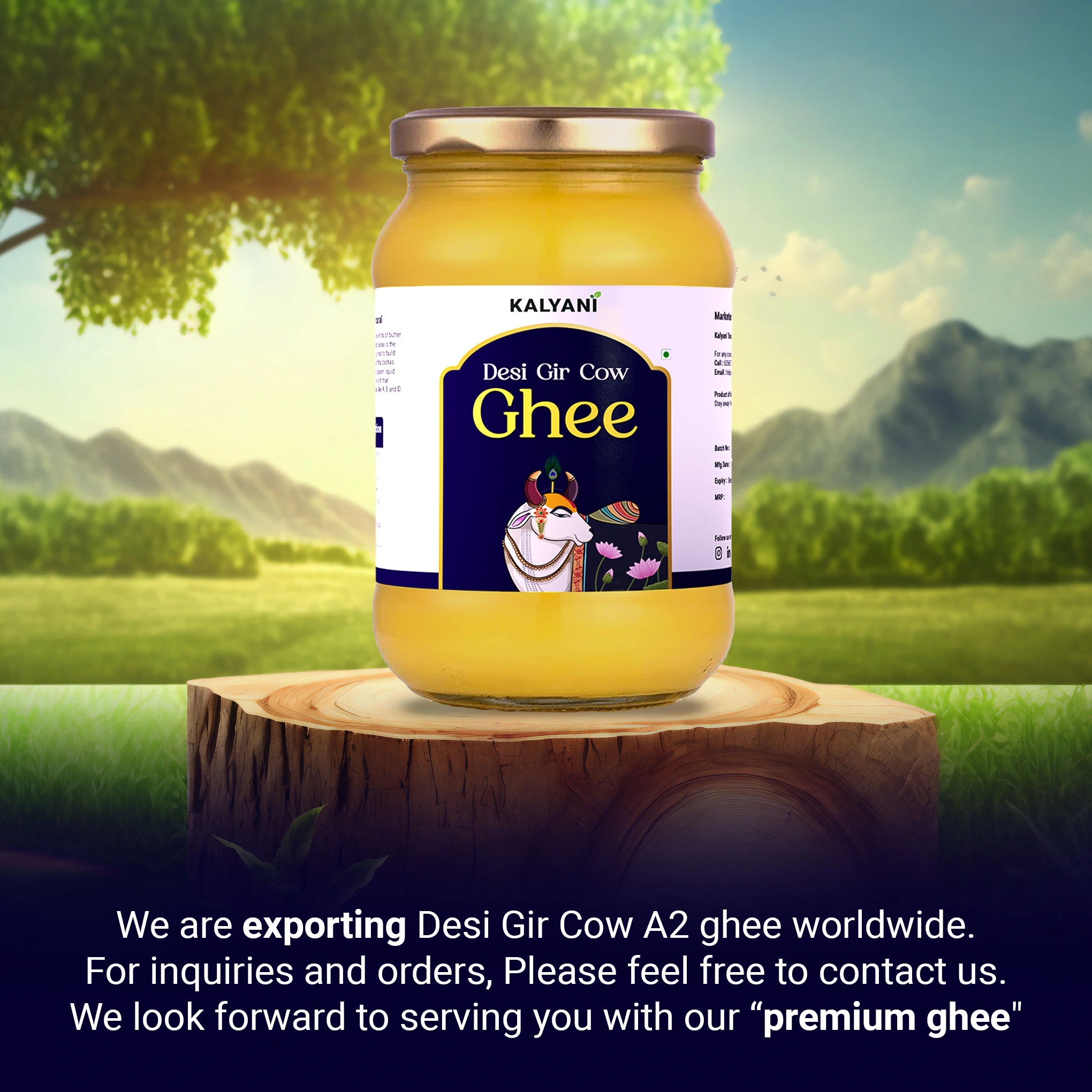 Desi Gir Cow A2 Ghee-1kg-2