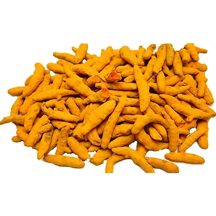 Turmeric Finger , curcuma-1