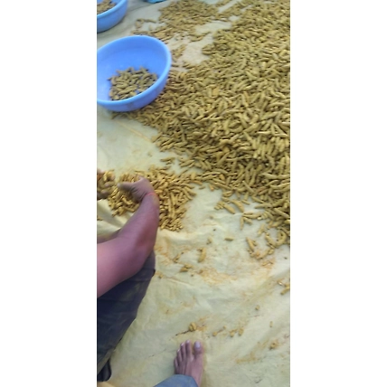 Turmeric Finger , curcuma-4
