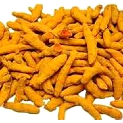 Turmeric Finger-12686885