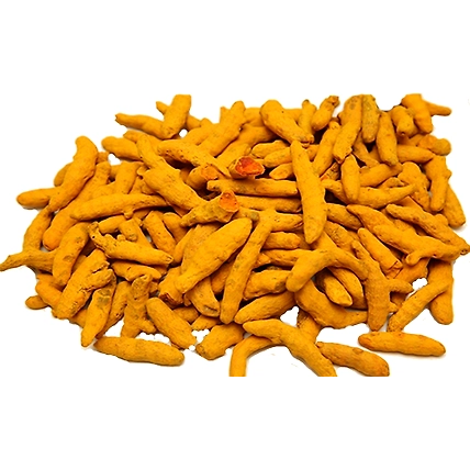 Turmeric Finger Dry-1