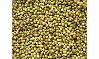 Coriander seeds
