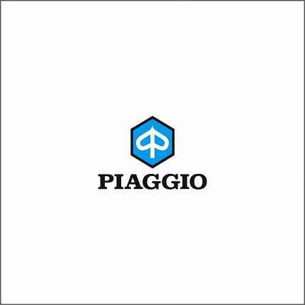 PIAGGIO TUK-TUK SPARE PARTS-4