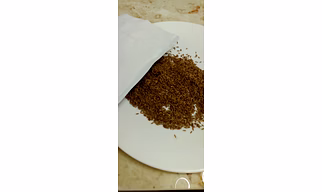 Cumin Seeds
