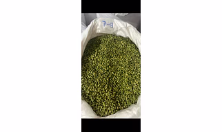 Green Cardamom
