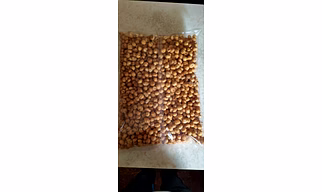 Foxnut (Makhana)