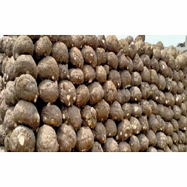 elephant foot yam