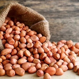 GROUNDNUT SEEDS PEANUT