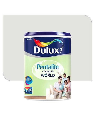 Paint 1L Brilliant white-000002