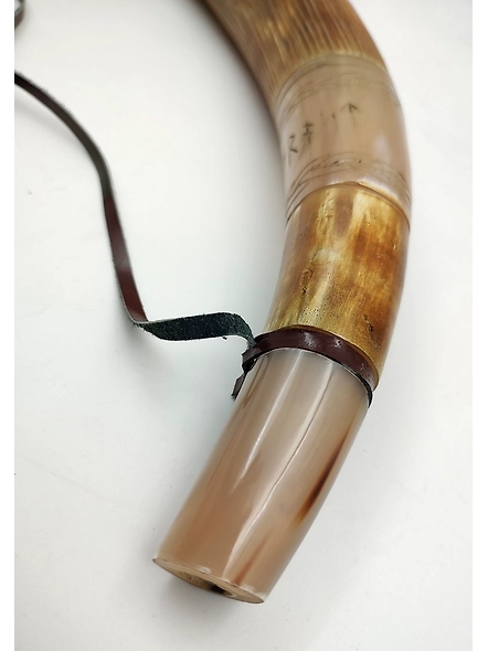 Viking blowing cow Horn Whistle Medieval bull Sounding Horn Viking Norse Cattle Ancient Horn Bugle Hunting Tool Resonating sound-3
