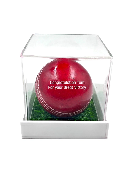 Personalized Leather Ball (Red), Standard Size 1Pc your text on Ball with Acrylic Display Box-12596906