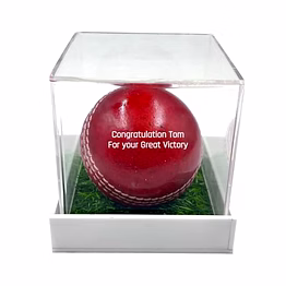 qarzun personalized leather cricket ball (red), standard size 1pc with acrylic display box water resistant suitable for practice or tournament game