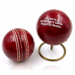 qarzun personalized leather cricket ball (red), standard size 1 piece with metal display stand, water resistant, suitable for practice or tournament game