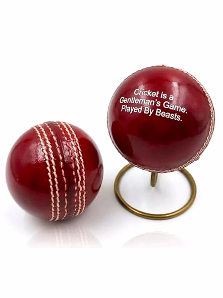 Personalized Leather Cricket Ball (Red), Standard Size 1 Piece with Metal Display Stand, Water Resistant, Suitable for Practice or Tournament Game