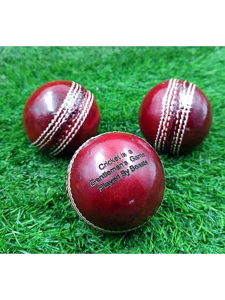 Personalized Leather Cricket Ball (Red), Standard Size 1 Piece with Metal Display Stand, Water Resistant, Suitable for Practice or Tournament Game