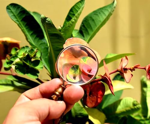 Set of 6 Antique Finish Brass Magnifying Glass Optional - Round Magnifier Monocle Page Reader Necklace - Vintage Style Nautical image 2